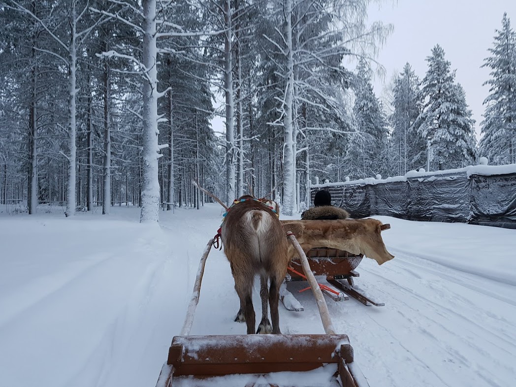 Winterreiseziel Finnland