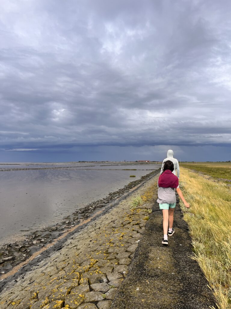 Spaziergang Friedrichskoog